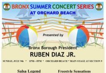 Bronx Summer Concerts