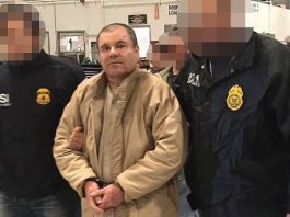 JOAQUIN ‘EL CHAPO’ GUZMAN Sería obligado a contribuir con 14 mil millones de dólares para financiar el muro de Donald Trump. Senador Ted Cruz quiere se lleva a cabo a través del ‘Acta de ‘El Chapo’.