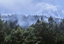 Latinos que residen en Estados Unidos son los más preocupados por el cambio climático Los latinos que residen en el país son quienes están más preocupados por el cambio climático.