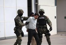 Exjefe de la DEA vincula la detención de "El Chapo" con la salida de prisión de Caro Quintero