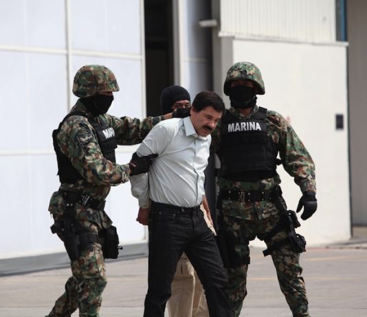 Exjefe de la DEA vincula la detención de "El Chapo" con la salida de prisión de Caro Quintero