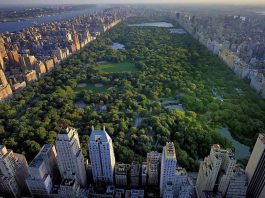 Central Park, el pulmón de Manhattan, celebró 164 años Central Park Nueva York. (foto archivo)