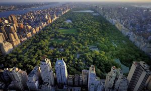 Central Park Nueva York. (foto archivo)