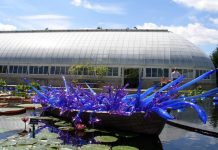 No se pierda las esculturas en vidrio de Dale Chihuly en el jardín botánico Dale Chihuly Jardin Botanico NY