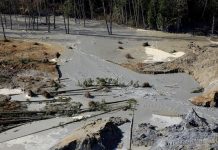 Sube a 14 número de muertos en desprendimiento de tierras en el estado de Washington