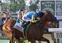 El caballo American Pharoah, montado por el jockey mexicano Víctor Espinoza, entraron a formar parte de las leyendas de la hípica de Estados Unidos al conseguir el triunfo en la prueba de Belmont Stakes, y alcanzar el título de la Triple Corona por primera vez desde 1978.