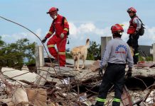 Ecuador se moviliza para afrontar la catástrofe por el terremoto Rescatistas con perros amaestrados buscan sobrevivientes en el sector de Pedernales (Ecuador) hoy, lunes 18 de abril de 2016, en la zona afectada por el terremoto de 7,8 grados en la escala de Richter registrado el sábado en la costa norte de Ecuador.