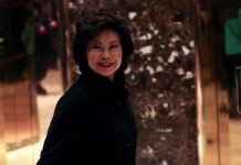Elaine Chao elegida por Trump como futura secretaria de Transporte Elaine Chao.
