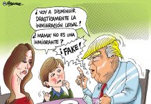Fake News Donald Trump Fake News Humor