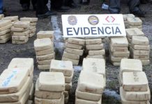 Decomisan en norte de Colombia más de media tonelada de coca que iba a EE.UU.