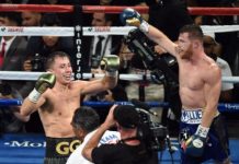 Canelo GGG Resultado Análisis