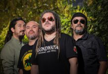 Gondwana. Foto Carlos Müller