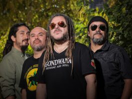 Gondwana. Foto Carlos Müller