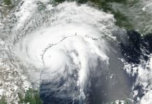 Trágico paso de Harvey deja ya más 30 muertos y 32.000 refugiados en Texas Cuerpos de rescate buscan residentes que requieran ser evacuados como consecuencia de las inundaciones por el paso del huracán Harvey en Houston, Texas