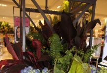 Macy's Flower Show Art in Bloom