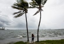 Declaran estado de emergencia en Florida por huracán Irma Vista de la Bahía de Biscayne con fuertes vientos y olas
