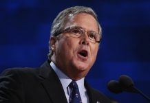 Jeb Bush