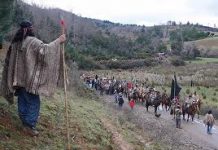 Gobernadores del sur de EEUU buscan mayor intercambio comercial con América Latina