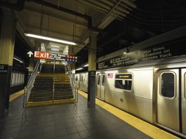 Organismos desconocidos y trazas de peste bubónica en el metro de Nueva York Centenares de bacterias y otros organismos, casi la mitad con un ADN desconocido, pueden encontrarse dentro del sistema de metro de Nueva York