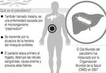 Día Mundial del Paludismo: "Invierte en el futuro, vence el paludismo"