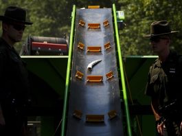 Policías del Departamento de Conservación Medioambiental del Estado de Nueva York se dispone a quemar más de una tonelada de marfil ilegal, que representa la muerte de más de 100 elefantes, confiscado contra la caza furtiva y el tráfico animal, en el Central Park, Nueva York