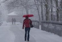 Lanzan en Nueva York campaña para registrar y movilizar votantes dominicanos Un sospech0so de haber empujado a las vías del metro de Nueva York a un hombre que falleció el lunes tras ser arrollado por un tren fue detenido hoy por la policía, confirmó un portavoz del Departamento de Policía.