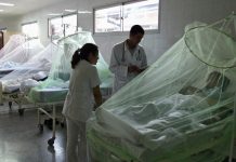 La nueva epidemia de dengue obligó a las autoridades sanitarias a decretar la alerta epidemiológica nacional el 8 de enero pasado.