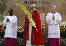 Francisco abre ritos de Semana Santa con procesión de Domingo de Ramos