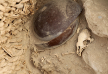 Descubren una tumba de 1.000 años con restos de un adulto y un niño en Lima