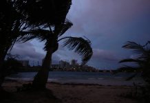 Cinco playas de Puerto Rico están contaminadas con bacterias enterococos