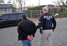 EE.UU. prepara instrucciones para acelerar las deportaciones La Casa Blanca estudia endurecer los requisitos para que las autoridades migratorias puedan deportar a más indocumentados sin pasar por un tribunal de inmigración. Fotografía cedida de agentes del Servicio de Inmigración y Aduanas (ICE) realizando un arresto.