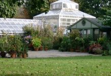 Snug Harbor Staten Island