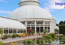 Descansa de la ciudad y visita este Jardín Botánico
