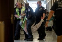 Senado de EEUU alcanza acuerdo para elevar techo de deuda y reabrir Gobierno Miembros de la policía se llevan a un manifestante que protestaba en el Capitolio de Washington (Estados Unidos) hoy, 22 de junio del 2017, contra el proyecto de ley sanitaria divulgado hoy por el liderazgo republicano del Senado de Estados Unidos que incluye fuertes recortes al programa Medicaid