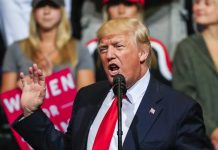 Trump propone poner paneles solares en el muro para que México pague "menos" DONALD TRUMP: Los temas” del presidente, vía Twitter, son titulares, titulares y más. Y decenas de encabezados diarios grafican la gravedad del tiempo que vivimos bajo su era, una loquísima era.