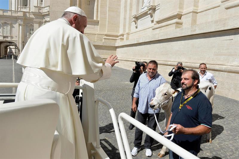 Vaticano tachó de "falso y ridículo" el documento filtrado supuestamente desde la Santa Sede.