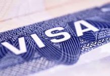 Casi un tercio de visas temporales en EE.UU. en 2011 fueron para mexicanos