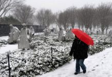 Emiten varias alertas por un temporal de nieve en la costa este