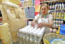 América Latina desecha 100 millones de toneladas de alimentos al año