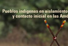 CIDH insta a proteger derechos de pueblos indígenas en aislamiento voluntario