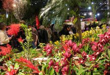 Las flores ecuatorianas deslumbran en la feria de las flores de Nueva York