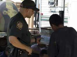 Agentes de la Patrulla Fronteriza sector Tucson decomisaron varias identificaciones falsas del FBI.