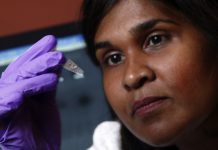 Las científicas que han verificado la "cura funcional" de la infección con el virus de inmunodeficiencia humana (VIH) en una recién nacida, indicaron hoy que debe confirmarse que el tratamiento con compuestos antirretrovirales fue lo que generó ese resultado.