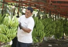 La Eurocámara aprueba acuerdos con ocho países de América Latina