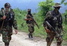 Procesan a dos excongresistas presos por nexos con paramilitares en Colombia