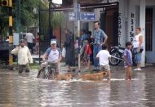 Suben a 3 los muertos por temporal en Uruguay y 7.400 personas siguen sin luz
