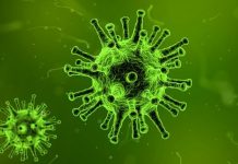 Lazer para bacteria