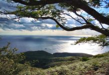 Islas Revillagigedo, el reto de crear el Parque Nacional más grande de México Fotografía cedida por la Secretaria de Medio Ambiente y Recursos Naturales, (SEMARNAT) que muestra el Parque Natural Islas Revillagigedo, en el estado mexicano de Colima (México).