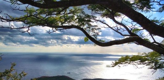 Fotografía cedida por la Secretaria de Medio Ambiente y Recursos Naturales, (SEMARNAT) que muestra el Parque Natural Islas Revillagigedo, en el estado mexicano de Colima (México).