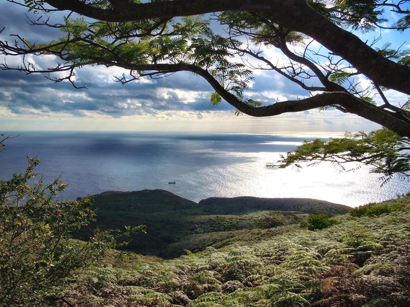 Fotograf&iacute;a cedida por la Secretaria de Medio Ambiente y Recursos Naturales, (SEMARNAT) que muestra el Parque Natural Islas Revillagigedo, en el estado mexicano de Colima (M&eacute;xico).